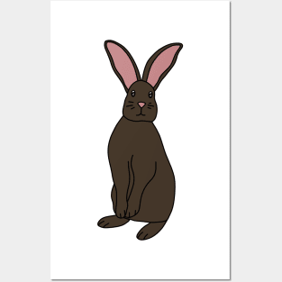 Brown Rabbit Posters and Art